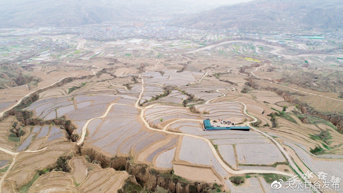 抖音涨双击评论点赞：掌握自媒体高流量创作秘诀_在线秒涨抖音10双击网站