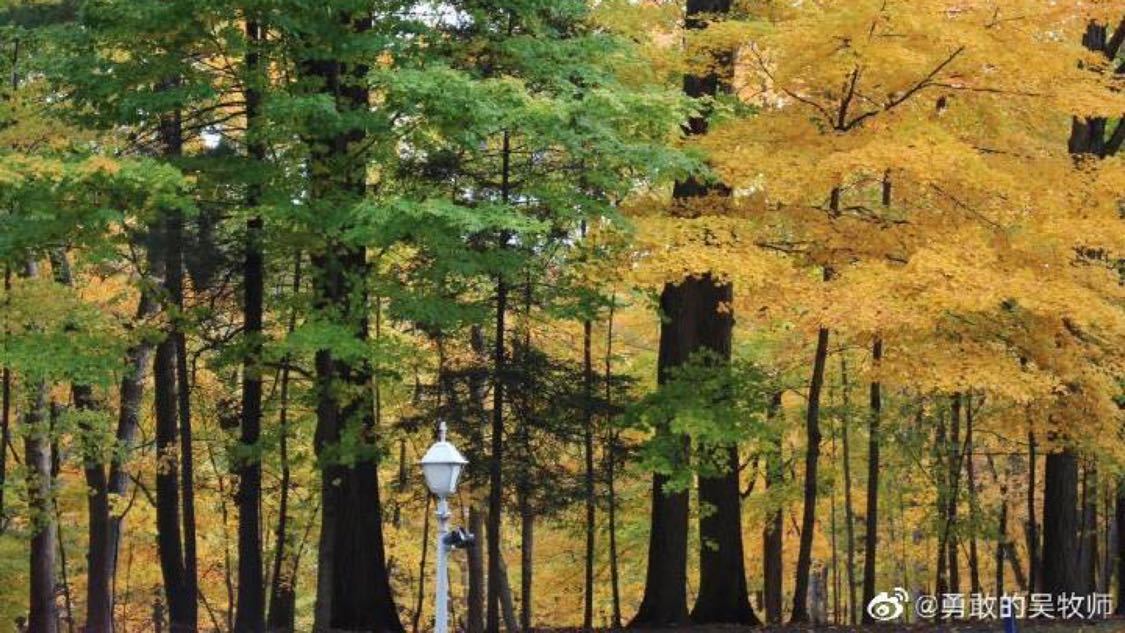 近期社交推广便捷化搭建您的直播平台:短视频推广与账号运营的一站式服务刘学义云包场